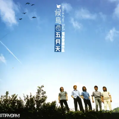 金赛的迷惑(电影《候鸟》背景音乐) - 纯音乐封面