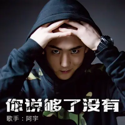 你说够了没有封面