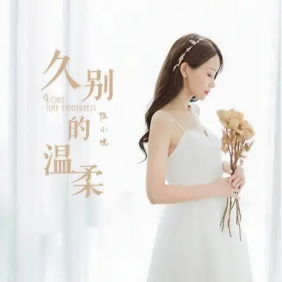久别的温柔封面