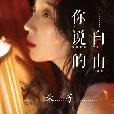 你说的自由封面