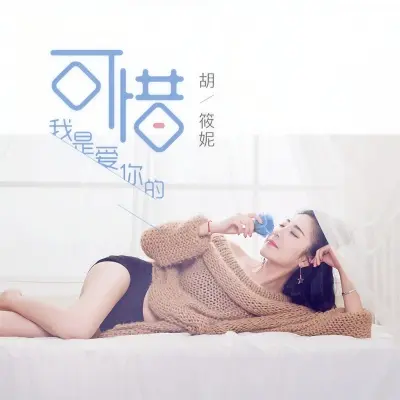可惜我是爱你的封面