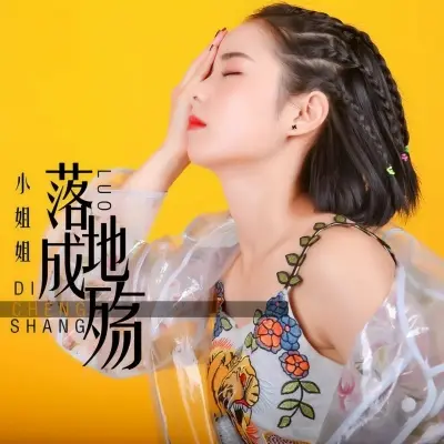落地成殇封面