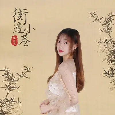 街边小巷封面