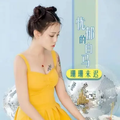 忧郁的白马封面