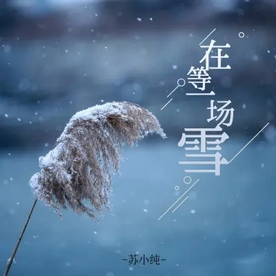 在等一场雪 (完整版) - 苏小纯封面