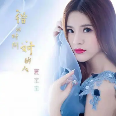 错的时间对的人封面