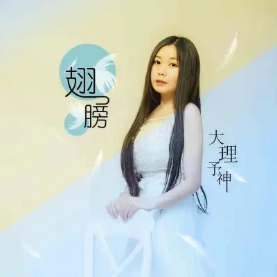 翅膀封面