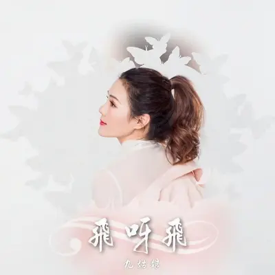 飞呀飞 - 九姑娘封面