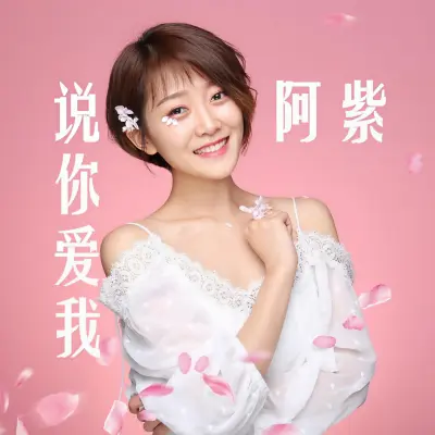 说你爱我封面