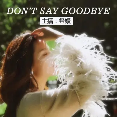 Don’t Say Goodbye封面