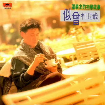 似曾相识封面