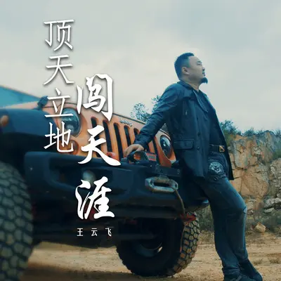 顶天立地闯天涯 - 王云飞封面