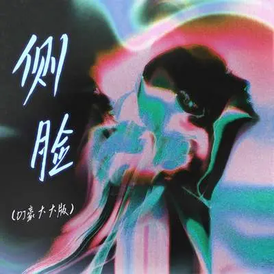 侧脸（DJ豪大大版）封面