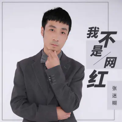 我不是网红 (DJ默涵版)（专辑：我不是网红）封面