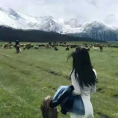 侧脸 (社会摇专属曲)封面