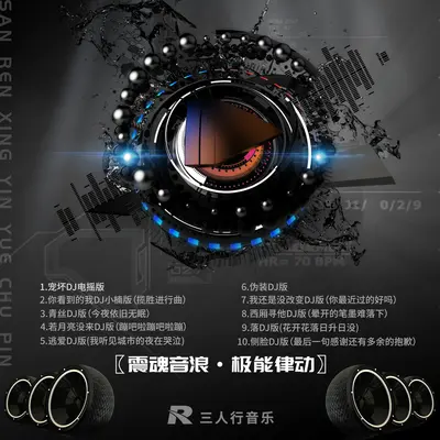 宠坏DJ电摇版封面