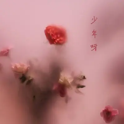 少年呀 (Demo)封面