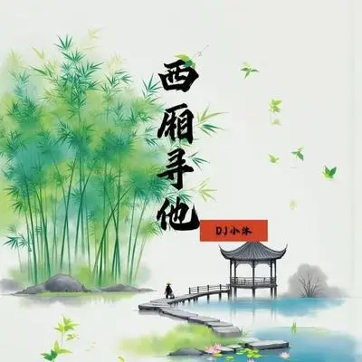 西厢寻他（DJ小沐版）0.9x封面