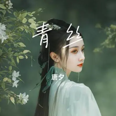 青丝（Cover 时光胶囊） - 唐夕封面