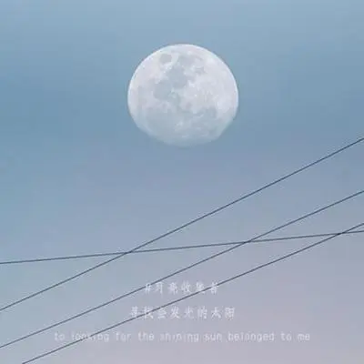 无情画（1.3x）封面