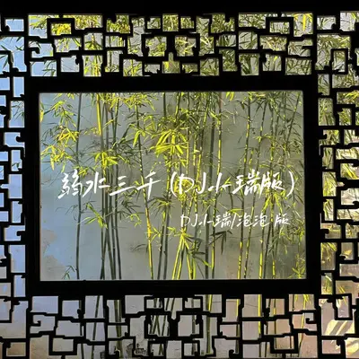弱水三千 (DJ小瑞版)封面