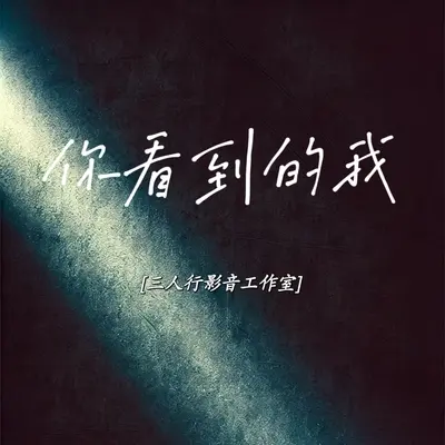你看到的我（DJ吉利版）封面