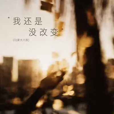 我还是没改变(DJ豪大大版)封面