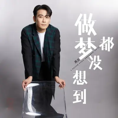 做梦都没想到封面
