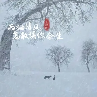 两袖清风怎敢误你余生(戏腔版)(戏腔版)封面