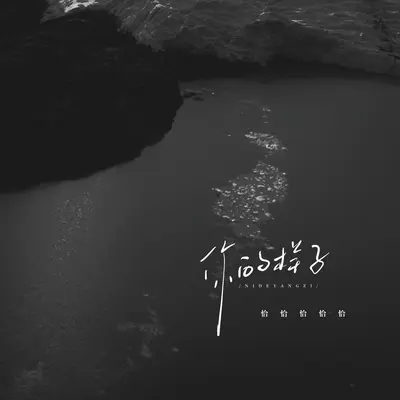 你的样子(律动版)(律动版)封面