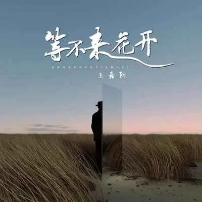 等不来花开(抒情版伴奏) - 王嘉阳封面