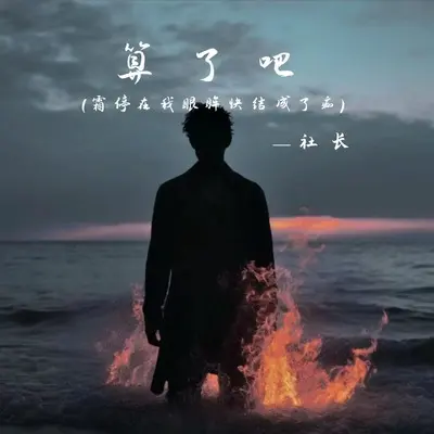 算了吧(霜停在我眼眸快结成了痂)(霜停在我眼眸快结成了痂)封面