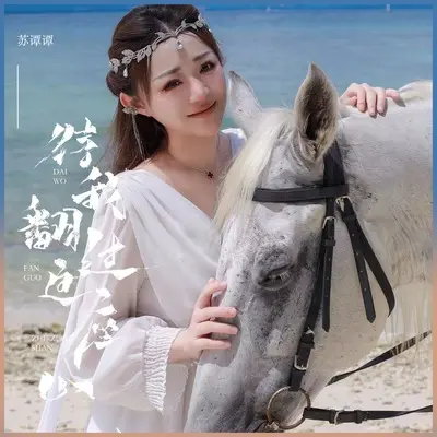 待我翻过这座山(DJ默涵版)(DJ默涵版)封面