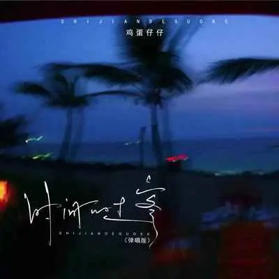 时间的过客(弹唱版)(弹唱版)封面