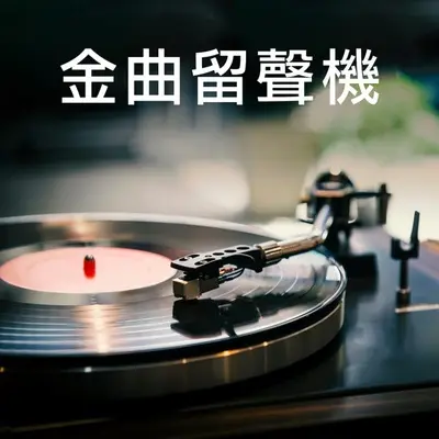 野百合也有春天(Album Version) - 孟庭苇封面