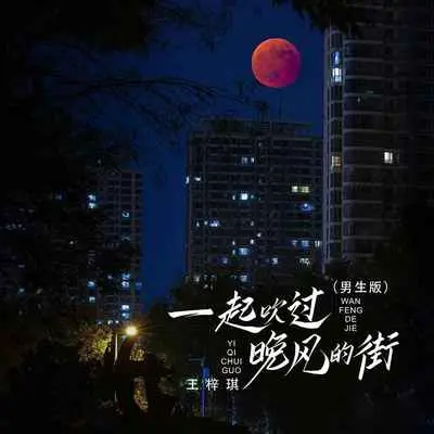 一起吹过晚风的街(男生版)(男生版)封面