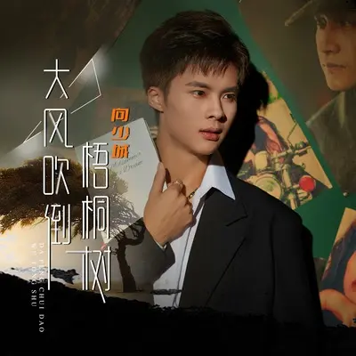大风吹倒梧桐树(DJ沈念版)(DJ沈念版)封面