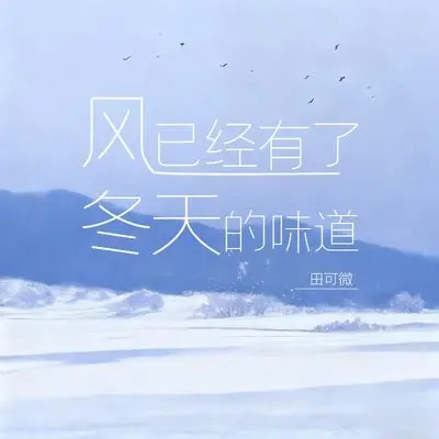 风已经有了冬天的味道封面