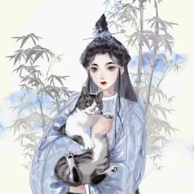 此地无银二百两 (Rap改编版)封面