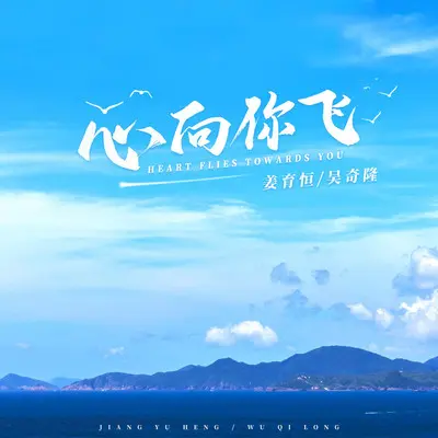 心向你飞封面
