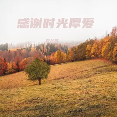 感谢时光厚爱封面