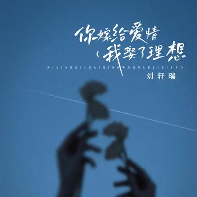 你嫁给爱情我娶了理想(伴奏)封面