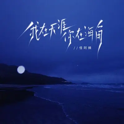我在天涯你在海角封面