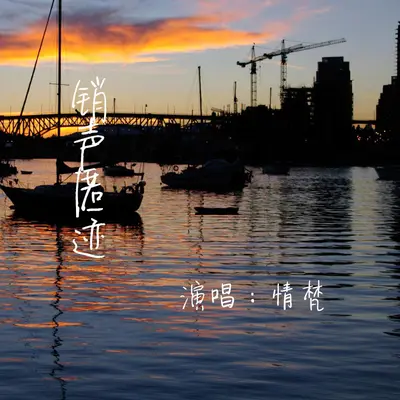 销声匿迹封面