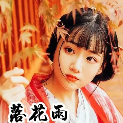落花雨封面