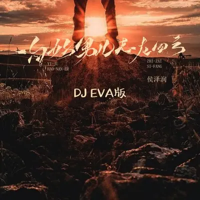 一句好男儿志在四方(DJ EVA版伴奏)封面
