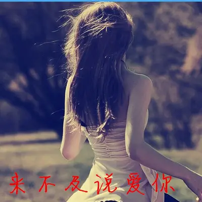 来不及说爱你封面