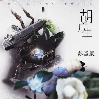 胡广生 (DJ小兮版)封面
