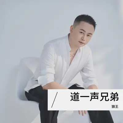 道一声兄弟(DJ豪大大版)(DJ豪大大版)封面