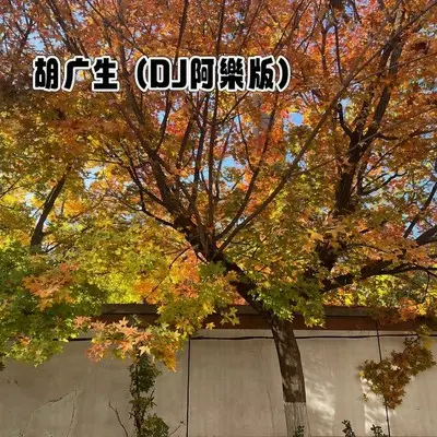胡广生 (DJ阿樂版) - DJ阿乐封面